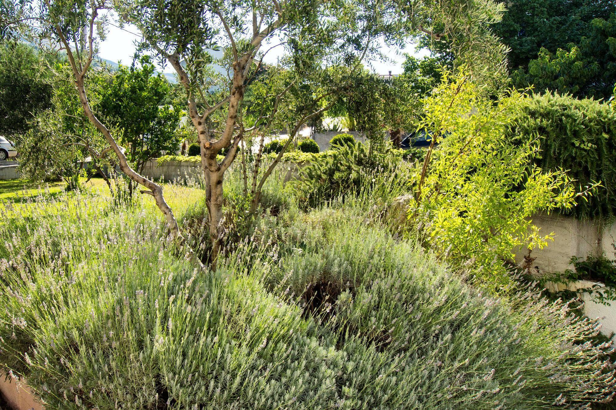 Villa Lavanda โปดสตรานา ภายนอก รูปภาพ